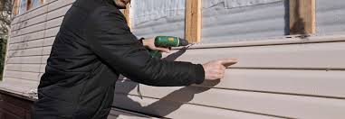 Best Custom Trim and Detailing for Siding  in Warsaw, MO